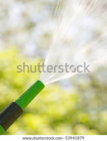 A garden hose sprays into the sunshine on a hot summer day.