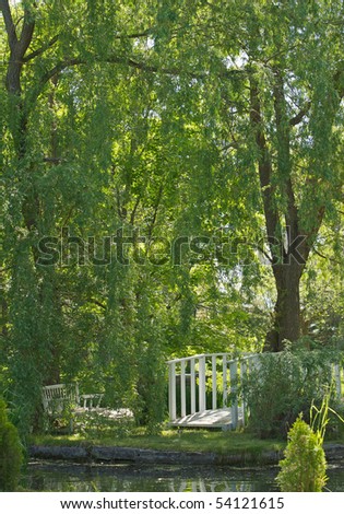 beautiful weeping willow