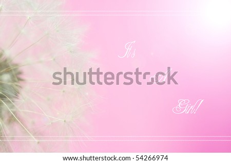Unique birth announcement for a baby girl featuring an abstract dandelion macro on pink in the sunshine.