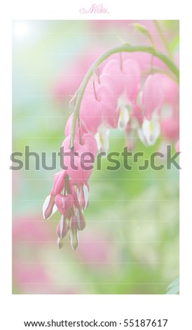 Unique  lined list or note pad design featuring pink bleeding hearts in the sunshine faded into the background.