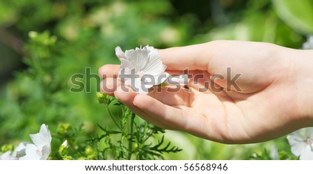 Abstract close up image of a  teenager holding a delicate white flower in her hand in the summer with copy space.