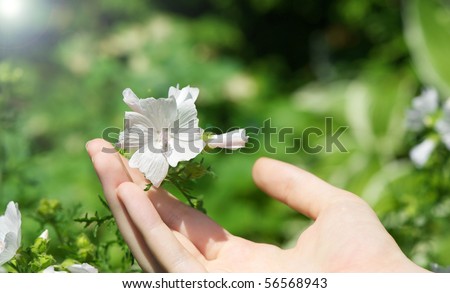 Abstract close up image of a  teenager holding a delicate white flower in her hand in the sunshine with copy space.