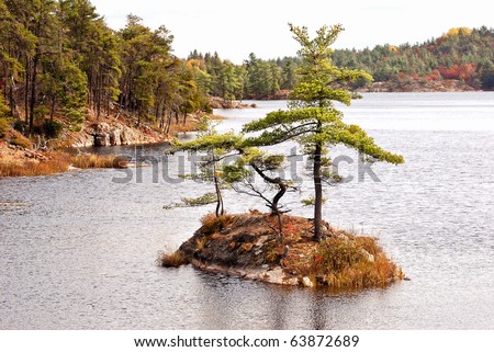 A tiny island with bent trees on a lake in the autumn.