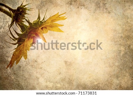 Grunge textured sunflower head with glowing center on antique paper background.