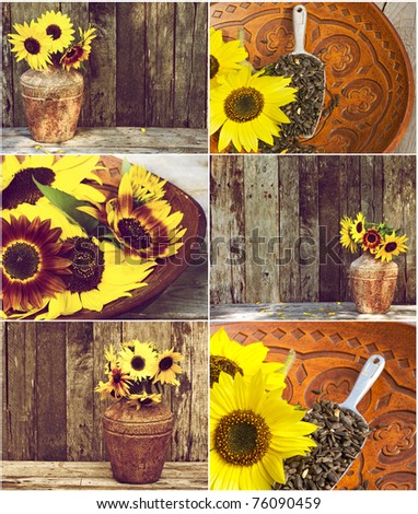 Autumn themed collage featuring  assorted rustic sunflower images.