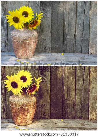 Sunflowers, comparison of an unprocessed RAW file and the same image after being processed to a vintage style richly colored image sunflowers in a rustic vase on a grunge wood backdrop.