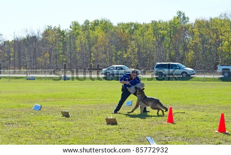 KAGAWONG, ONTARIO, CANADA -OCTOBER 1: Police dog demonstration showing drug sniffing and attack training on October 1, 2011 in Kagawong, on Manitoulin Island, Ontario Canada.