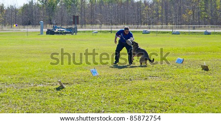 KAGAWONG, ONTARIO, CANADA -OCTOBER 1: Police dog demonstration showing drug sniffing and attack training on October 1, 2011 in Kagawong, on Manitoulin Island, Ontario, Canada.