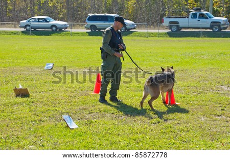 KAGAWONG, ONTARIO, CANADA -OCTOBER 1: Police dog demonstration showing drug sniffing and attack training on October 1, 2011 in Kagawong, on Manitoulin Island, Ontario, Canada.