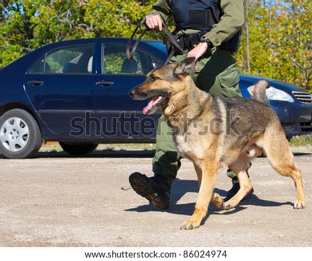 Drug sniffing dog and his uniformed police officer handler preparing to investigate a crime scene.  
I have a very similar image in my portfolio which has a police cruiser in it.