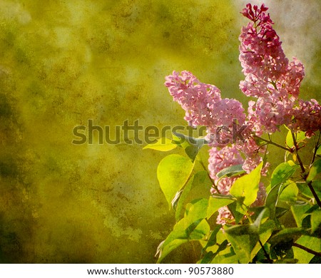 Nature background with beautiful spring lilacs in the sunshine with copy space.  Textured image.