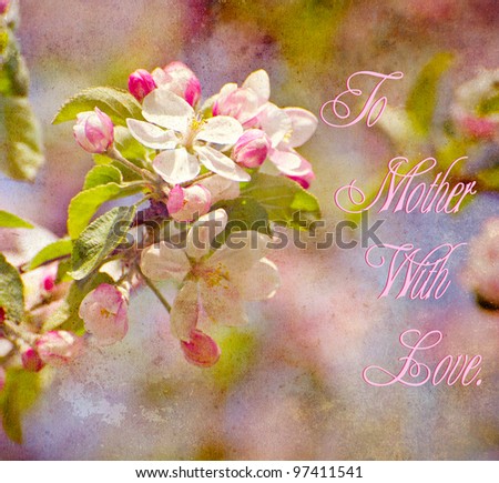 Mother\'s day card design featuring beautiful Spring apple blossoms with heavy antique texture.
