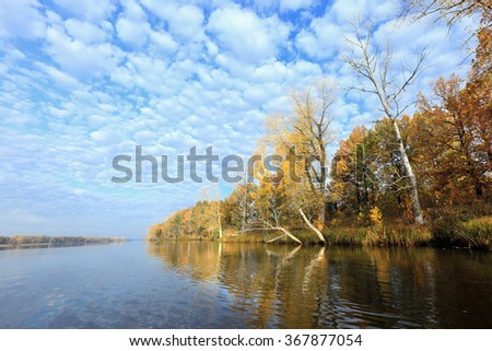 autumn landscape wide river and trees along the coast in the early morning