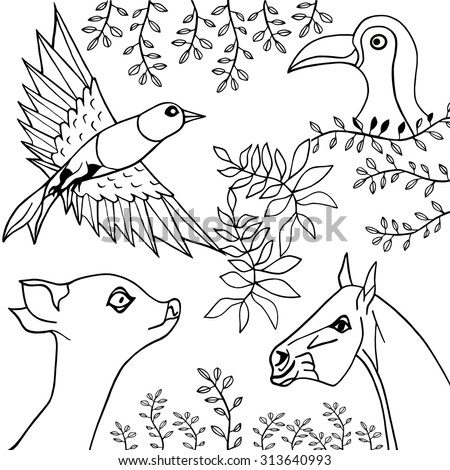 Hand draw black-white collection of animals, birds and plants, horse, parrot, tulip, plants, leaves, bird vector set collection illustration