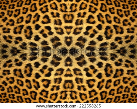 Black and orange leopard fur pattern