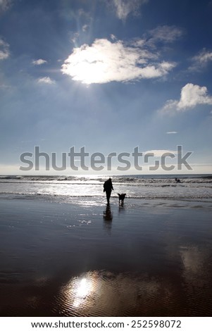 Person walking a dog on a beach in winter with a sunburst behind a cloud