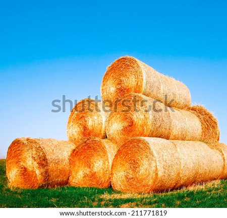Abstract background texture of golden dry yellow grass, straw and hay outdoor on rural green meadow in autumn evening nature Cultivated structure of closeup roll view at light farm with blue cloud sky