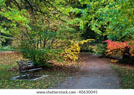 park path with bench during the fall