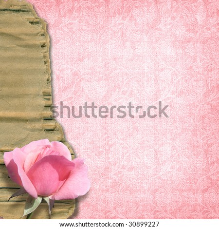 wedding card background  pink