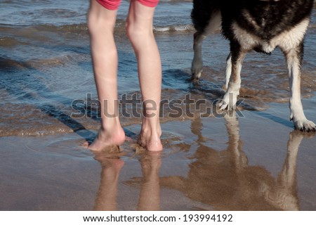 cropped view of little girl and her pet dog\'s legs and feet playing in shallow water at a beach