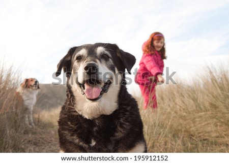 little girl in shocking pink winter clothing walking her dogs