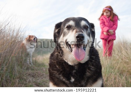 little girl in shocking pink winter clothing walking her dogs