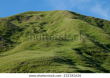 rolling green hill country pasture land East Coast, North Island, New Zealand