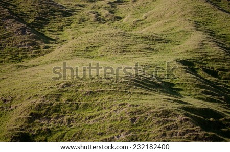 Rolling green hill country pasture land East Coast, North Island, New Zealand
