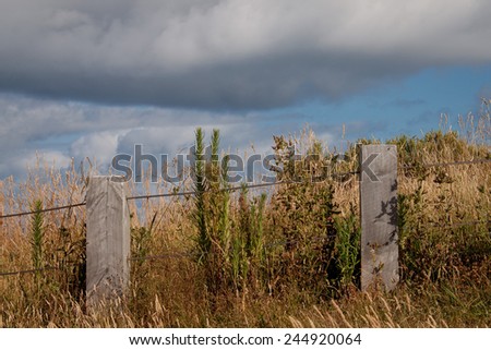 Fence line on a grassy hill with summer rain clouds overhead