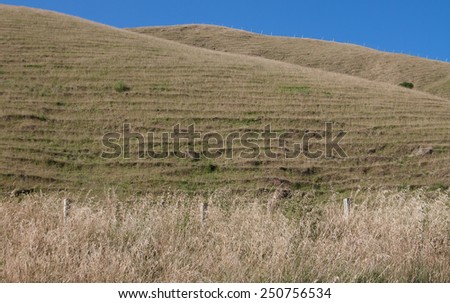 rural and pastoral roadside farming land, East Coast, New Zealand