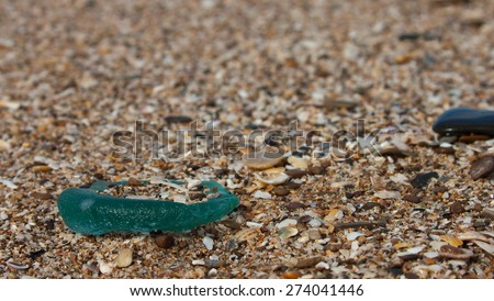 shard of glass washed up among coarse sand on a beach