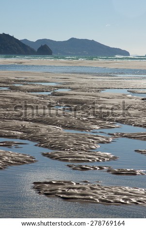 tidal pools on the shore at Matarangi Beach, Coromandel Peninsula, New Zealand