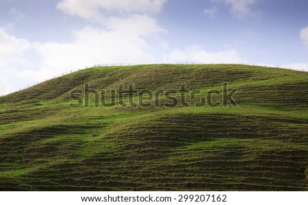 horizontal landscape format rolling green coastal pastoral farming hills rutted with stock trails, Gisborne, East Coast, North Island, New Zealand