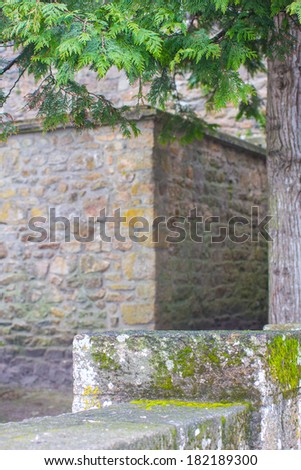 Brickwall, stairs and the tree in the castle