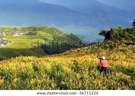 a photographer in Lily field on a hill