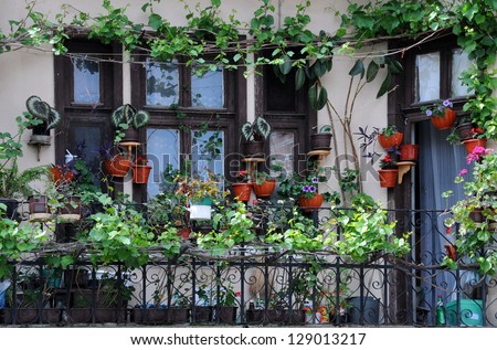 Flowerpots and house plants on the balcony