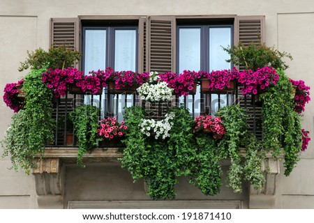 Flowerpots and house plants on the balcony Flowerpots and house plants on the balcony