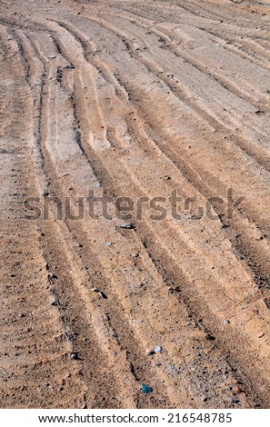 Part of dry dirt road in Kazakhstan