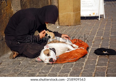 PRAGUE, CZECH REPUBLIC - JUNE 06, 2008: Young man, his dog and rat beg for money on the famous Charles Bridge
