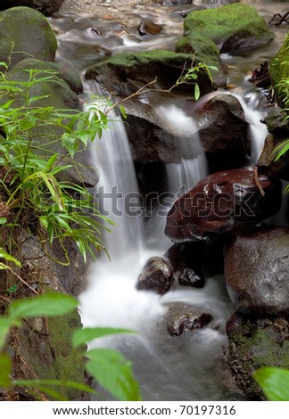 River and small falls that run from the Emerald Pool in the rain-forest on the Caribbean island of Dominica