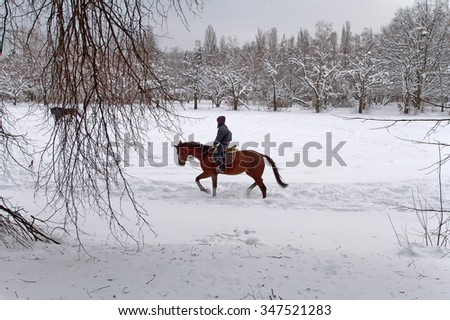A young man riding a horse on a snow covered park. Horseback riding Russian winter