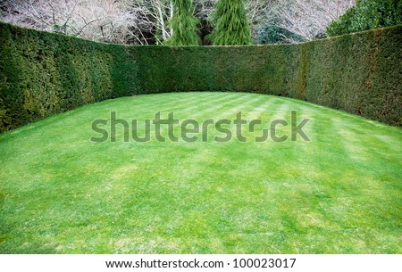Trimmed hedge around oval lawn