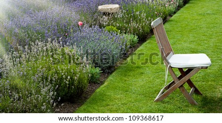 English lavender garden in the morning with a single chair