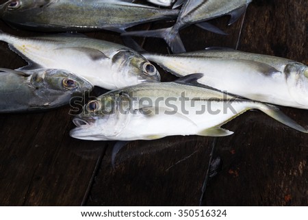Fish on wooden background,Dusky jack fish,Caranx Sexfasciatus fish,sea fish,sea food