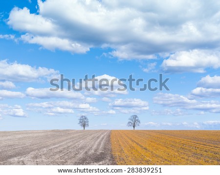 A line running trough the landscape with two trees on the horizon with a blue sky and white clouds and yellow and grey colors on the field