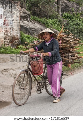 QUANG BINH, VIETNAM - CIRCA MARCH 2012: Young female farmer walks bike loaded with fire wood. Roadside view of working woman coming from the fields.
