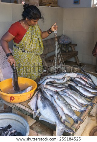 KUMBAKONAM, INDIA - OCTOBER 11, 2013: A woman sells and weighs fresh, large fish in a covered market near the river. Some flies sits on the fish.