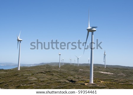 Albany: windmill park. On the cliffs near the ocean exposed to a maximum of wind.