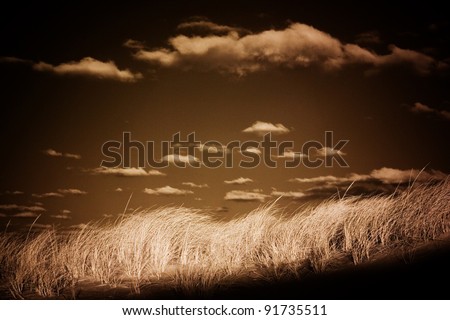 Beach grass, dune, sky and clouds.