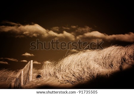 Beach grass, dune, snow fence, sky and clouds.